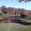 marciaflaherty293 - @marciaflaherty293 - TikTok