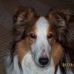 Marcie Gamble - Facebook