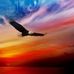 Marcia Garner - Facebook