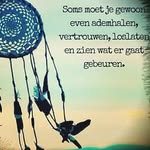 Marcia Geerdink - @geerdinkmarcia - Instagram