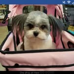 Marcia - @marcia_handley_ - Instagram