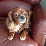 Marcia Herbert - @marciaherbert - Instagram