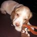 Marcia Herrera - Facebook