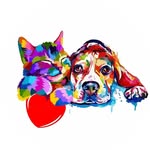 Marcia Herrera Saldivia - @marcia.vet_ - Instagram