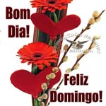 Marcia Herrmann - @marciaherrmann63 - Instagram