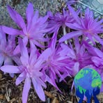 Marcia Holt - Facebook
