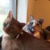 Marcia Huffman - Facebook