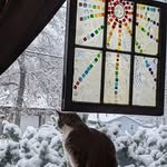 Marcia Kisner - @marcia.kisner.7 - Instagram