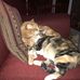 Marcia Kline - Facebook