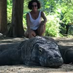 Marcia Kline - @klinemarcia - Instagram