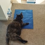 Marcia Lake - @marcia_lake - Instagram