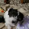 marcialambert1 - @marcialambert1 - TikTok