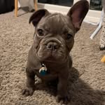 Marcia Larkin - @marcia_larkin - Instagram