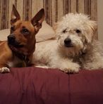 Marcia Logsdon - Facebook