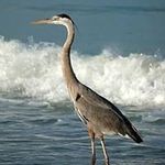 Marsha Lowry - @marlowry2 - Instagram