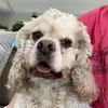 Marcia Lyon - @marcia_lyon - TikTok