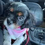 Marcia MacRae Hallinan - @mars_0428 - Instagram