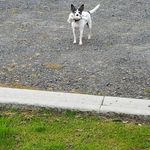 Marcia Maloney Lawson - @maloney.marcia - Instagram