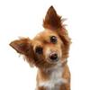 Marcia McDowell647 - @learningfunzone - TikTok
