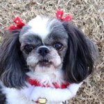 Marsha Lee McDowell - @marsha.mcdowell - Instagram