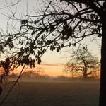 Marcia Meredith - @marcia_meredith - Instagram