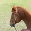 Marcia Hereford-Miley - @marcia.herefordmi - TikTok