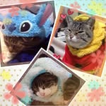 marcia. mark. miley - @miley.232427 - Instagram