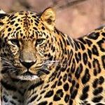 Marcia Mims - @marcia.mims.5 - Instagram