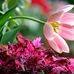 Marcia Morelli - Facebook