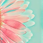 Marcia Neri - @marcia_neri - Instagram