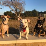 Marcia Packer-Lang - @mlangnow1 - Instagram