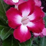 Marcia Parrish - @marciap998 - Instagram