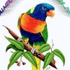 user7978343327665 - @marciapascoe112 - TikTok