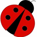 Marcia Patch - Facebook