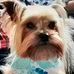 Marcia Patrick - Facebook