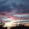 marciaphillips13 - @marcia.phillips - TikTok