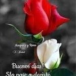 Marcia Robles - @marcia.robles.733 - Instagram