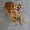 Márcia Robles - @marcia.robles.1 - TikTok