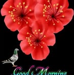 Marcia Rowe - Facebook