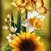 Marcia Raasch - Facebook