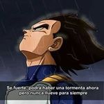 Saul Marcial - @marcial.saul - Instagram