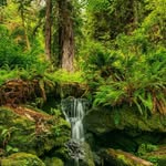 Marcia Shaw - @marcia.shaw.50 - Instagram