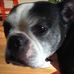 Marcia Silverstein - Facebook