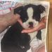 Marcia Silverstein - Facebook