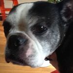 Marcia Silverstein - @silverstein.marcia - Instagram