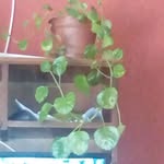 Marcia Solis - @marcia.solis.5817 - Instagram