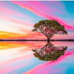 Marcia Spence - @marciaspence6 - Instagram
