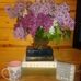 Marcia Spence - Facebook