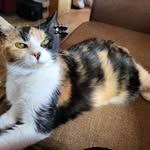 Marcia Spence - @marciaspence72 - Instagram