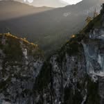 Marcia Spence - @marciaspence368378 - Instagram